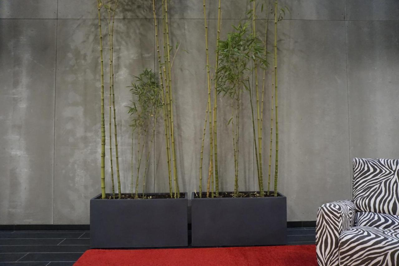 Lumen Place Apartamentos Mondoñedo 외부 사진